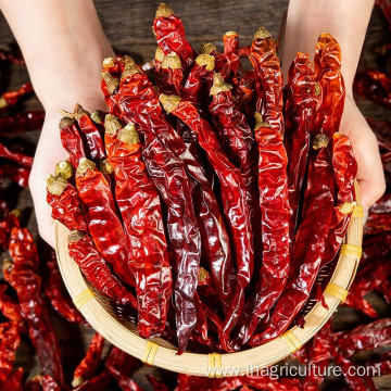 Natural Organic Dried Whole Red Chili Single Herbs